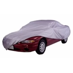 Silver Auto Cover