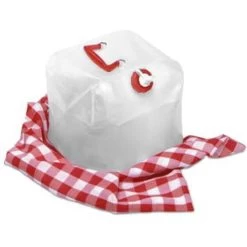 5 Gallon Collapsible Water Carrier
